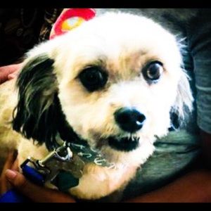 Meet your Posher, Danielle